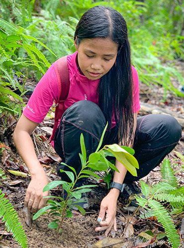 Tree Planting